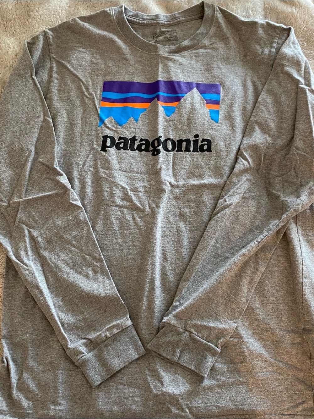 Patagonia Grey Crewneck Sweatshirt with Multicolor Mountain Logo